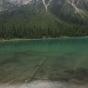 Meet your Posher, Baylee